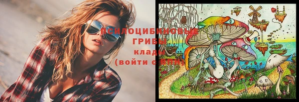 2c-b Абдулино