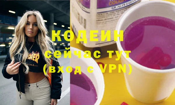 индика Осташков