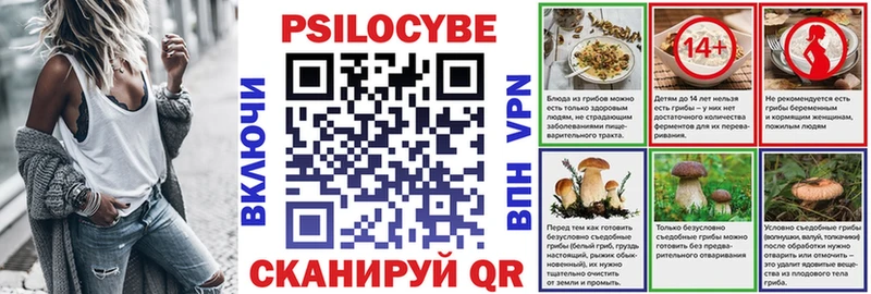 кракен маркетплейс  Темников  Псилоцибиновые грибы GOLDEN TEACHER 