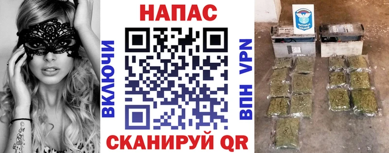 блэк спрут ONION Темников Бошки марихуана гибрид